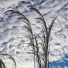 img_101_016004