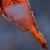 img_101_024728