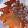 img_101_024733