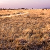 IMG_101_018549