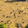 IMG_101_018650