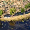 IMG_101_018653