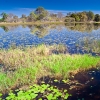 IMG_101_018831