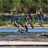 IMG_101_018990