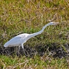 IMG_101_019280