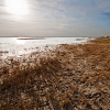 img_101_018586