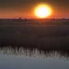 img_101_019077