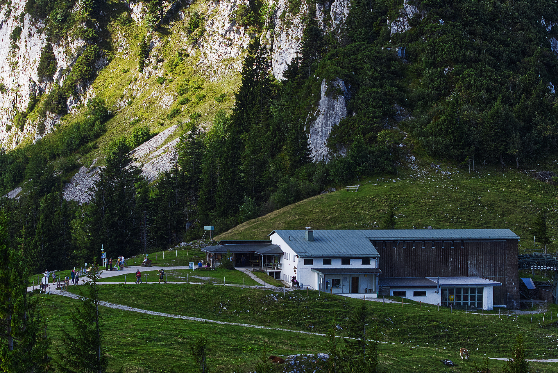 008_IMG_90D_108854