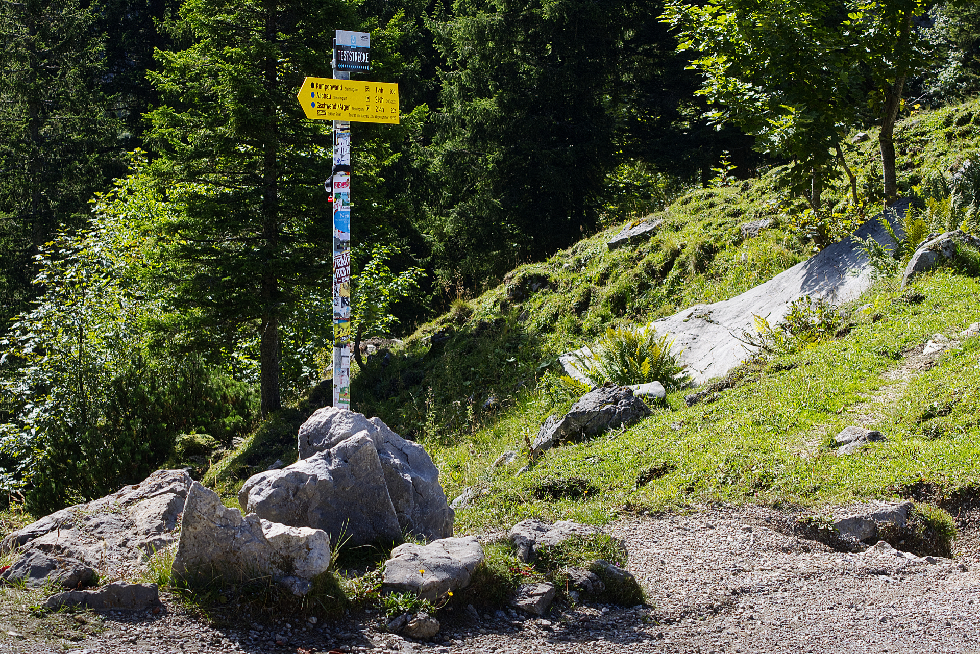 009_IMG_90D_108850