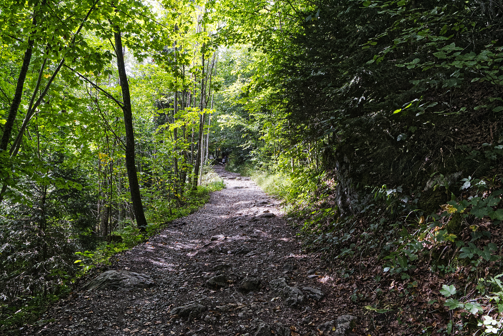 080_IMG_90D_109274