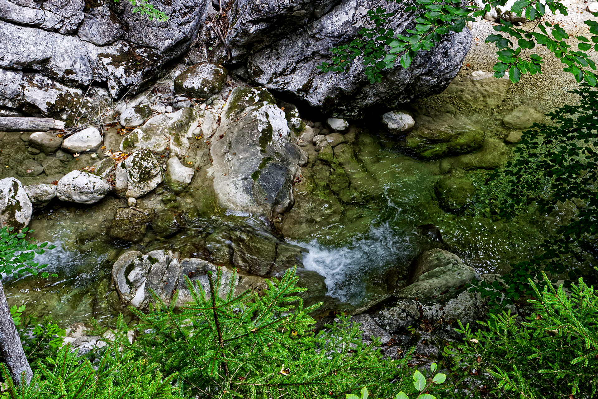 085_IMG_90D_109263