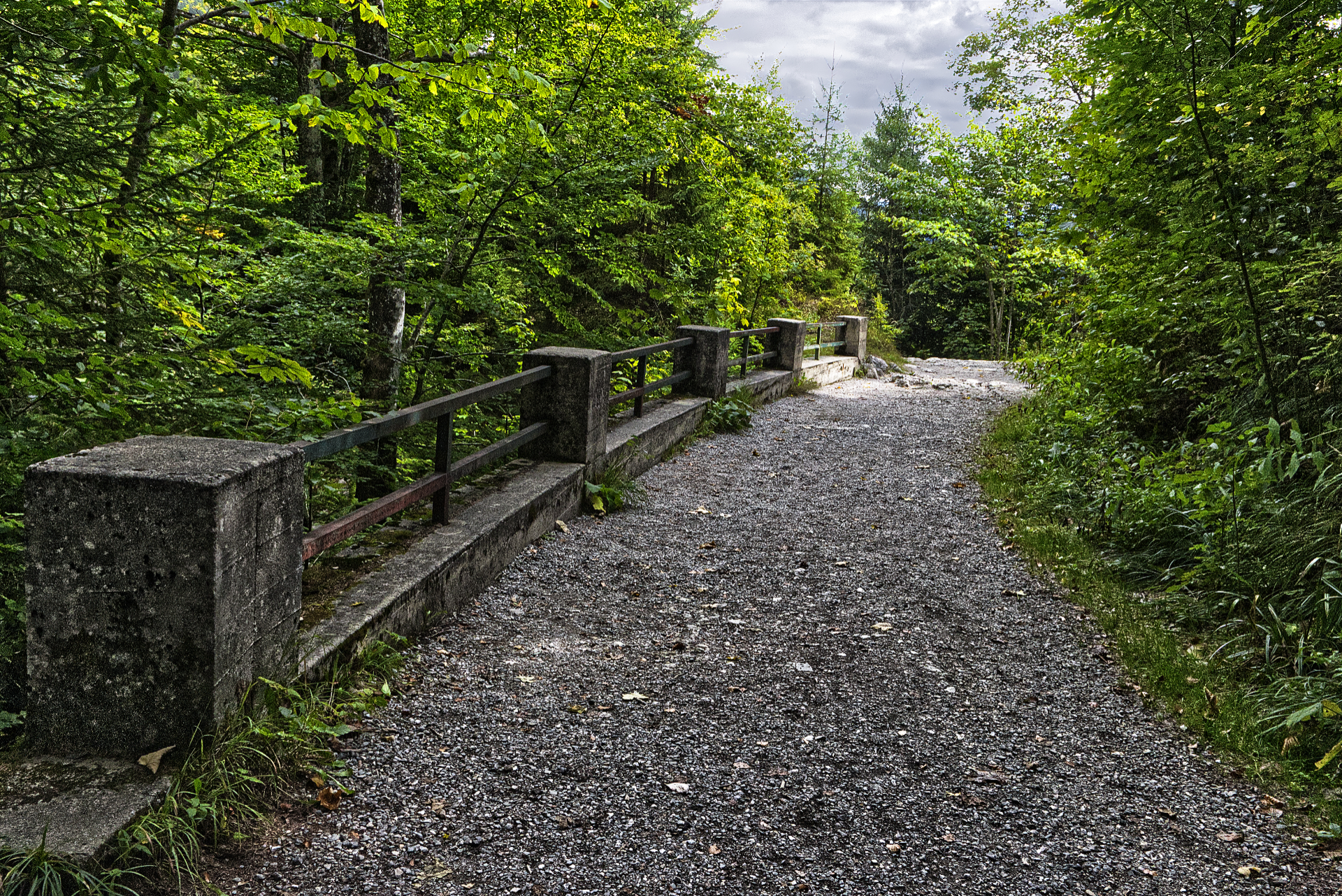 086_IMG_90D_109270