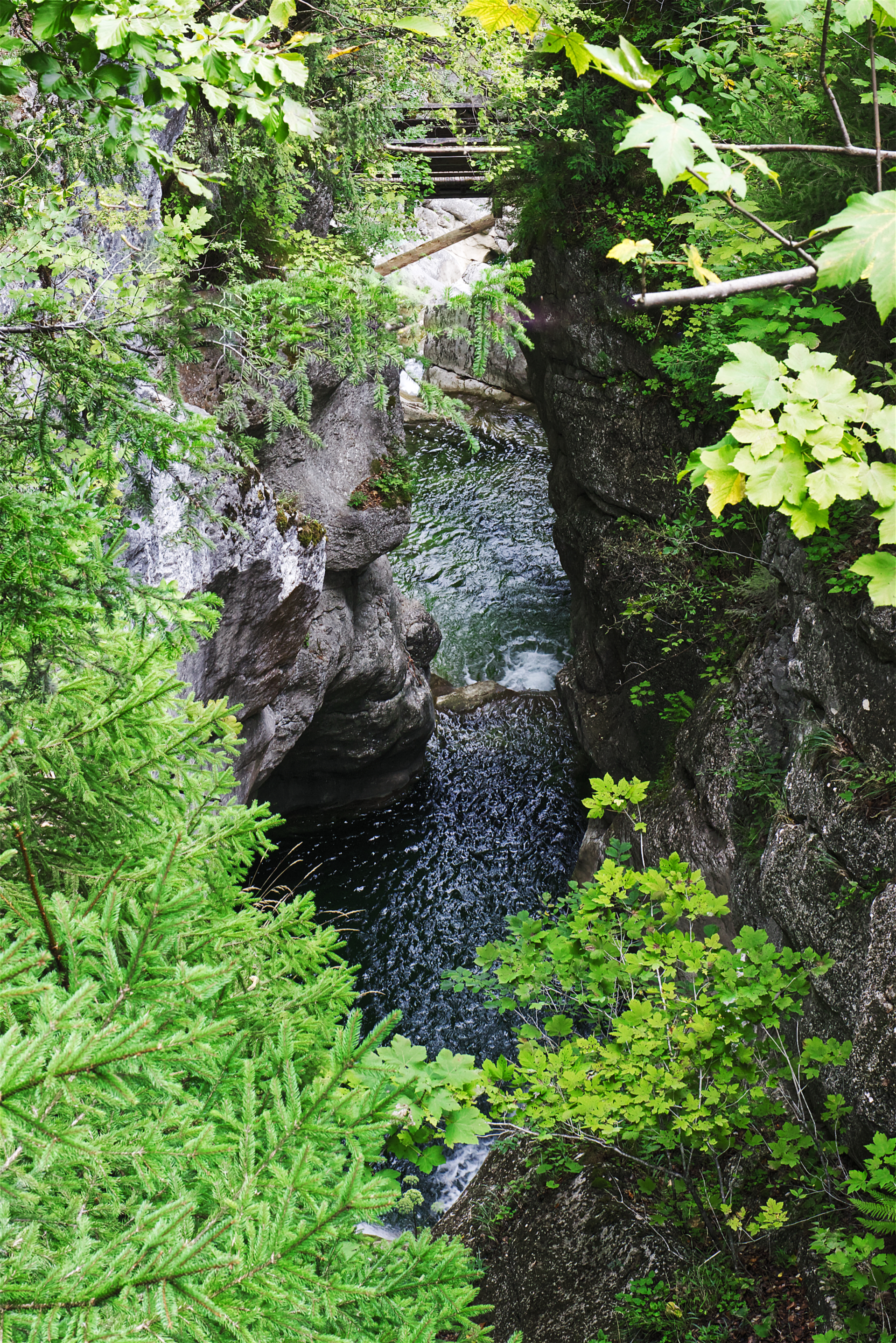087_IMG_90D_109257