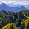 001_IMG_90D_108833