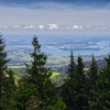 013_IMG_90D_108868