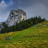 016_IMG_90D_108879