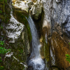 082_IMG_90D_109242