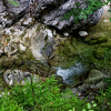 085_IMG_90D_109263