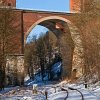 IMG_101_028207