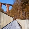 IMG_101_028216