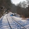 IMG_101_028256