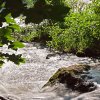 IMG_101_030119