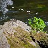 IMG_101_030140
