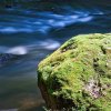 IMG_101_030146