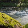 IMG_101_030152