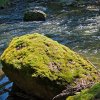 IMG_101_030153