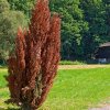 IMG_101_030156