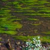 IMG_101_030163
