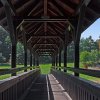 IMG_101_030175