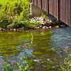IMG_101_030178