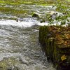 IMG_90D_103373