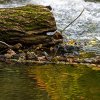 IMG_90D_103374