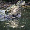 IMG_90D_103376
