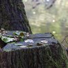 IMG_90D_103378