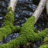IMG_90D_103383
