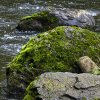 IMG_90D_103384