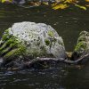 IMG_90D_103385