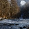 IMG_90D_104568