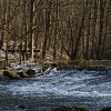 IMG_90D_104574