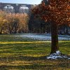 IMG_90D_104606