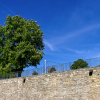 IMG_90D_103060