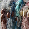 img_9310