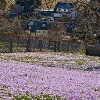 img_101_010488