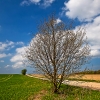 img_101_010960_0