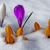 img_101_020811
