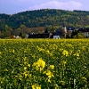img_101_4368